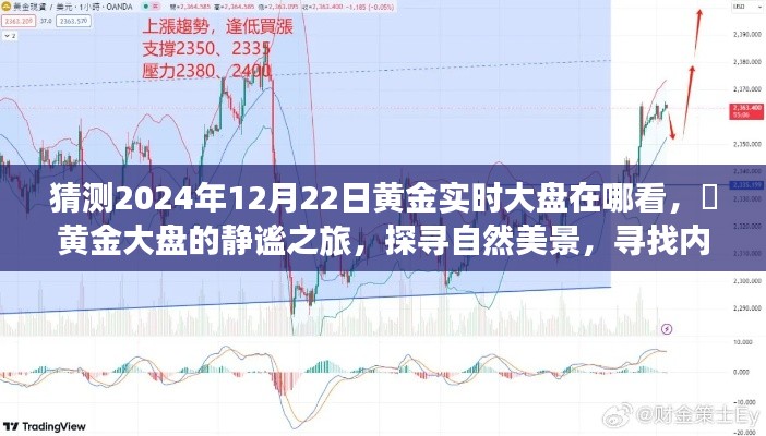 探寻黄金大盘的静谧之旅，预测黄金实时走势与内心黄金点的探寻之路