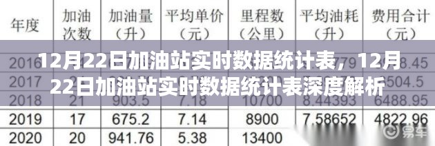 12月22日加油站实时数据统计表深度解析与概览