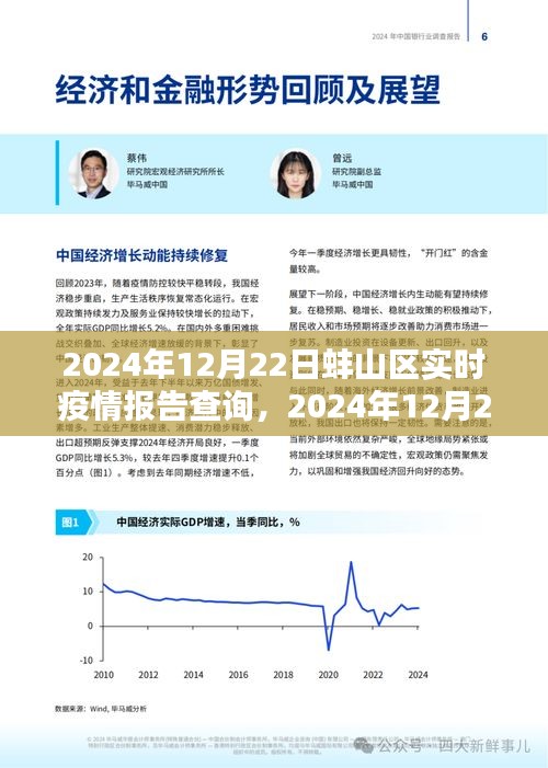 2024年12月22日蚌山区疫情报告实时查询及分析概况