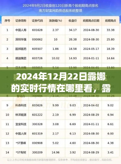 露娜实时行情洞察，数字世界之旅与影响力回顾，2024年12月22日行情一览