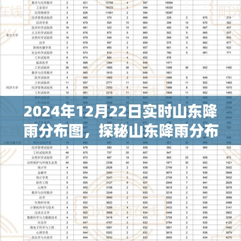 山东降雨分布图实时更新，科技前沿的气象洞察之旅（2024年12月22日）