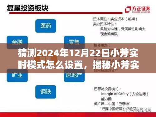 揭秘小芳实时模式，2024年12月22日设置指南与全面评测，教你如何设置小芳实时模式！