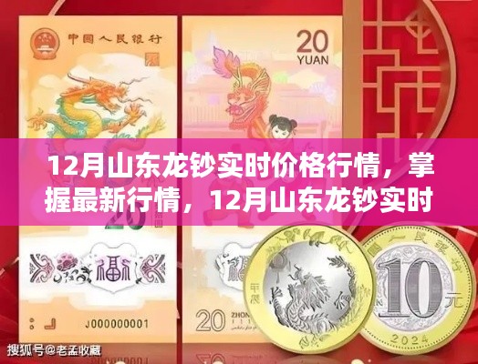 12月山东龙钞实时行情解析，价格指南与全面教程