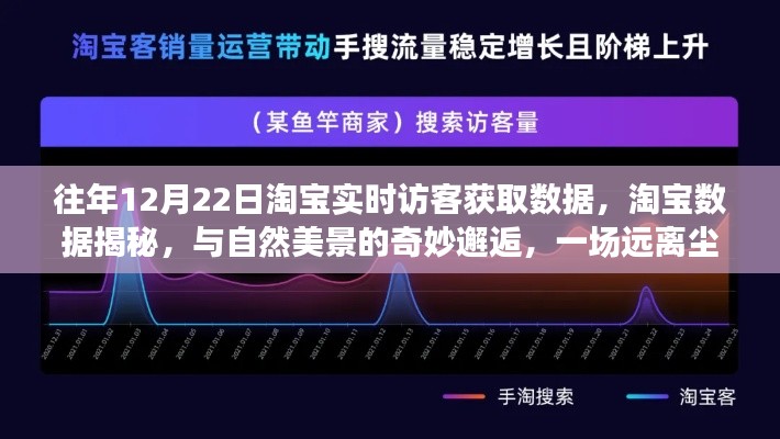 淘宝数据揭秘，与自然美景的邂逅，淘宝实时访客数据的心灵之旅（往年12月22日）