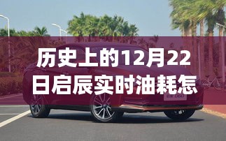 启辰车型实时油耗设置详解，历史视角下的深度评测与用户体验分析