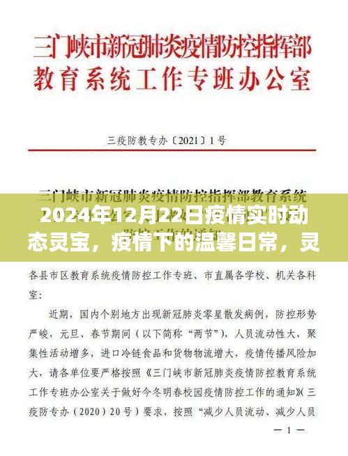 疫情下的温馨日常，灵宝小城故事与实时动态（2024年12月22日）