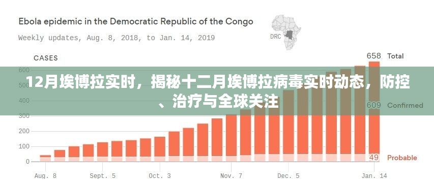 揭秘十二月埃博拉病毒实时动态，防控、治疗与全球关注聚焦更新进展