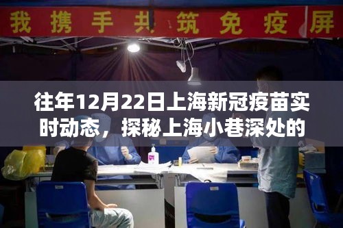 探秘上海小巷深处的疫苗动态与独特小店，历年12月22日上海新冠疫苗实时更新